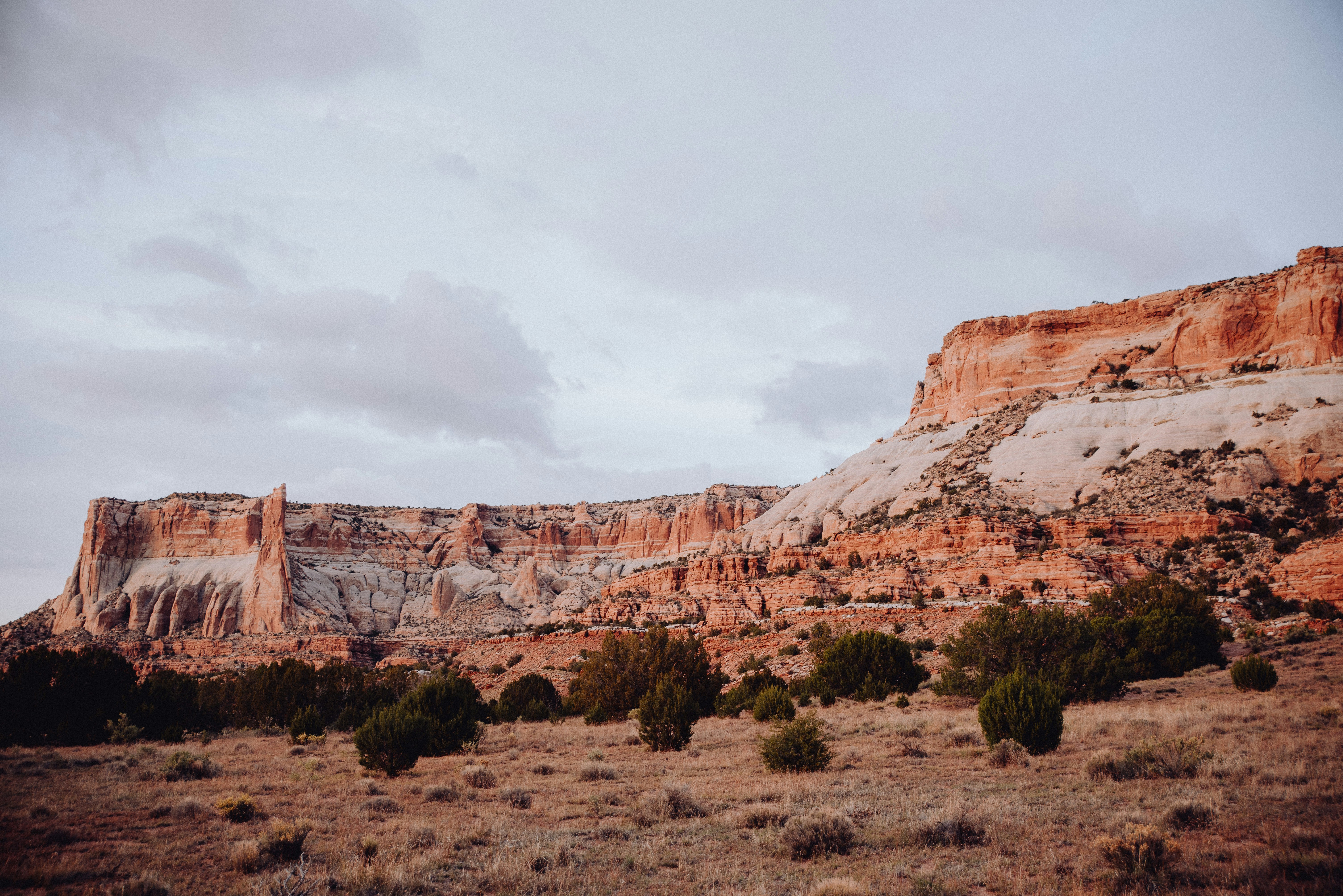 Sand dunes stretching across a desert landscape